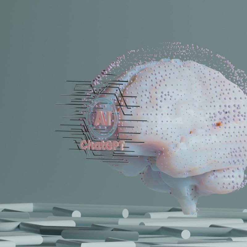a computer generated image of a human brain